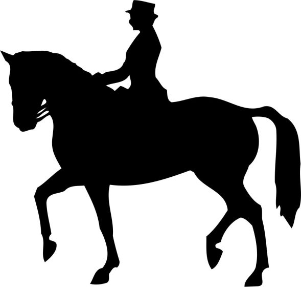 Dressur hest med rytter